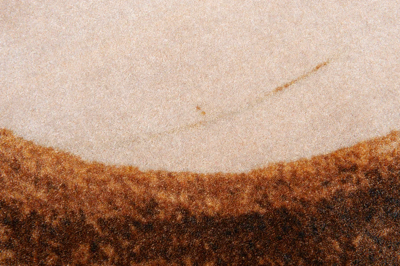 Vloerkleed 'Brush Ovale' ocker brown