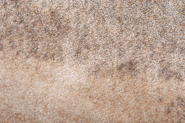 Vloerkleed 'Brush Ovale' chalk beige