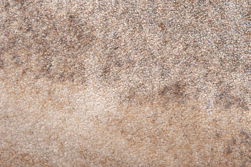 Vloerkleed 'Brush Ovale' chalk beige